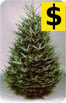 pricing on
                            christmas trees in ohio