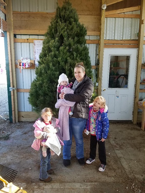 kleerview farm christmas trees free tree
                  winner