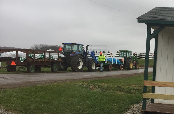 kleerview farm christmas trees tractors