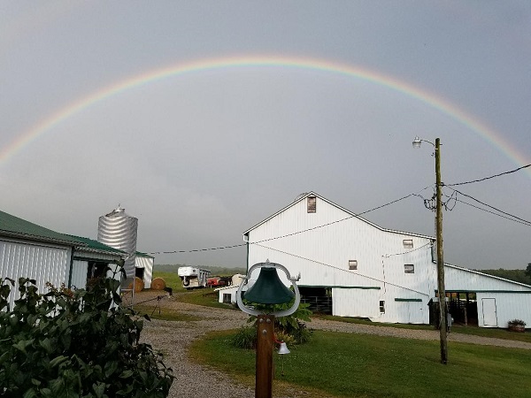 kleerview farm rainbow