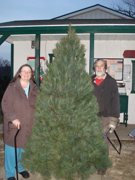 christmas tree winners 2012